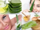 Aloe Vera’nın Cilde Faydası: Doğal ve Etkili Bir Cilt Bakımı