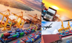 Lojistik Firmaları ile Yeşil Taşımacılığın Ortaya Çıkışı ve Önemi