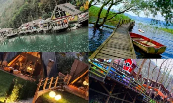 Doğayla İç İçe Huzurlu Bir Kaçış: Sapanca Tatili