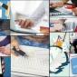 Paynet Hizmetleri Nelerdir