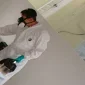 Hava Koşulları Böceklerin Çoğalmasına Neden Olabilir