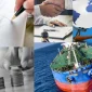 Şirketler hukuku avukatlık ve danışmanlık hizmetleri nelerdir?