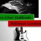 Elektro Gitar Hakkında Bilinmesi Gerekenler
