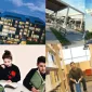 Yös İq Soruları