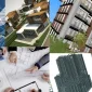Structural Detailing Software Hangi Sektörde Kullanılır?